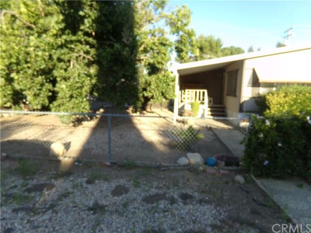 33026 Olive Tree Lane - Photo 1
