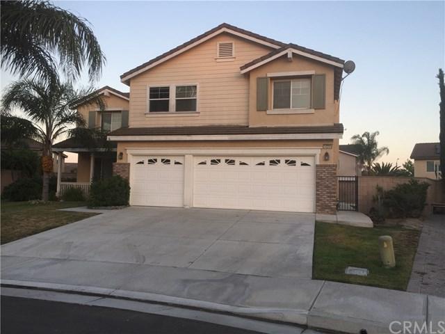 14255 English Setter Street - Photo 1