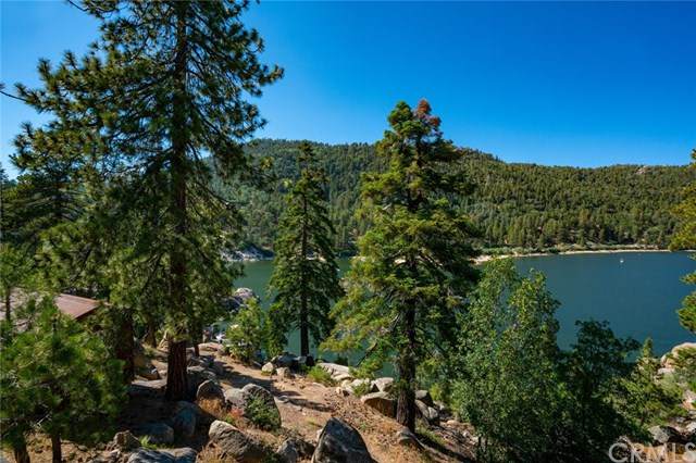 65 Big Bear - Photo 1