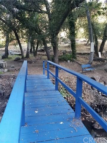 32800 Ortega - Photo 1