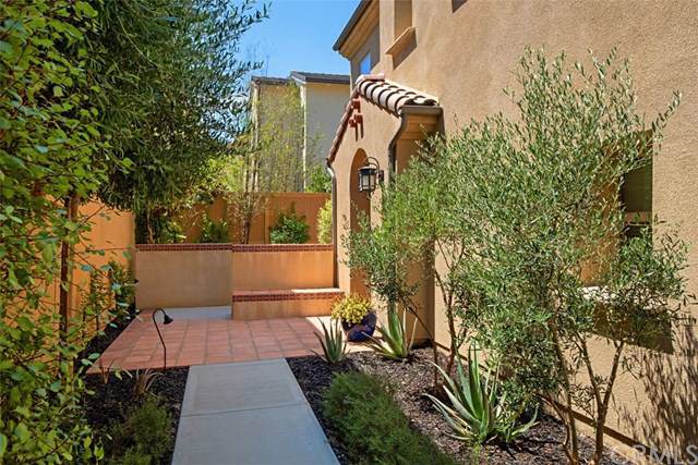 28248 Camino Del Rio - Photo 1