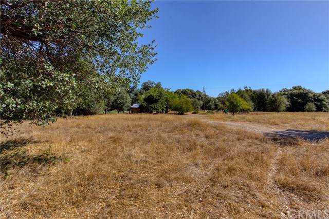 19390 Pine Creek Rd. - Photo 1
