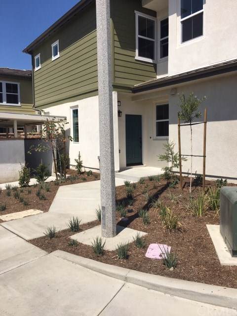 2360 Via Veranda - Photo 1