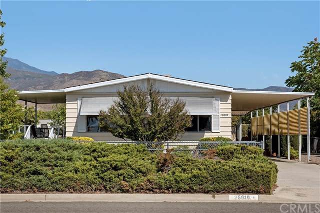 25610 Minorca Street - Photo 1