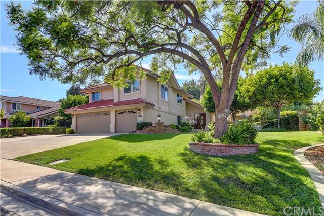 5253 Via De Mansion - Photo 1