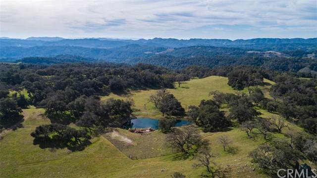 3995 Sibley Lane - Photo 1