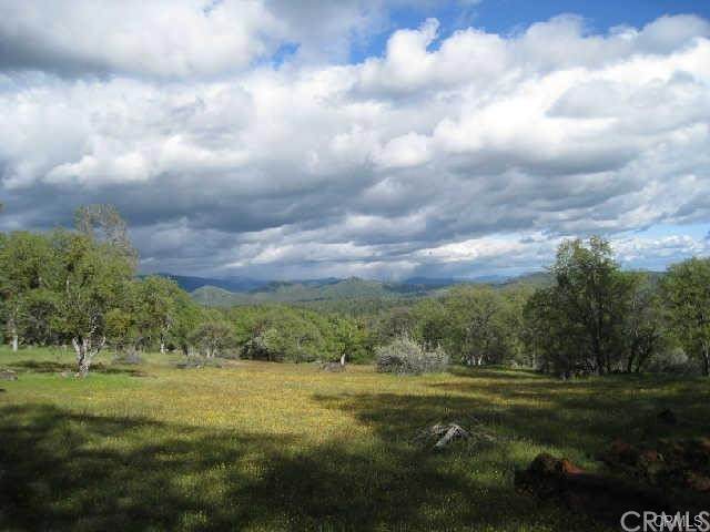 23 Cimmaron - Photo 1