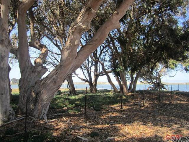 344 Mitchell - Photo 1