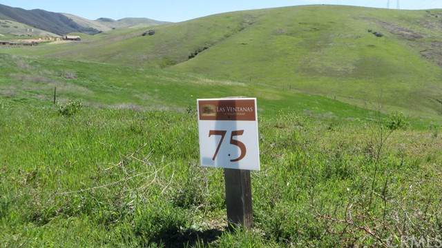 3655 Camino San Gabriel - Photo 1