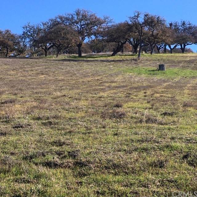 2480 Iron Stone Loop - Photo 1