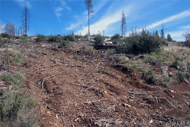 11791 Gifford Springs - Photo 1