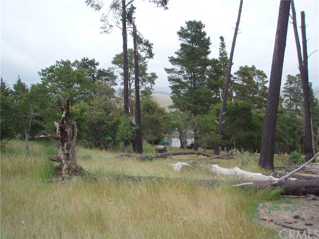 1516 Spencer - Photo 1