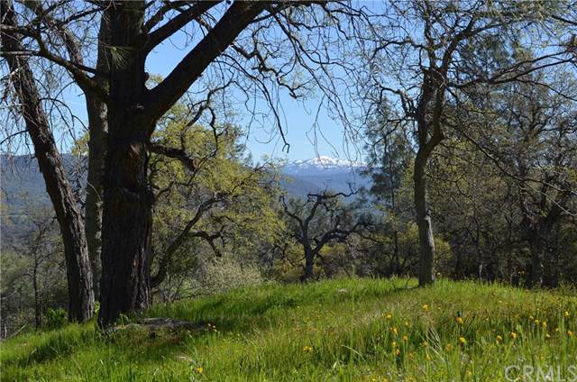 3 Longview - Photo 1