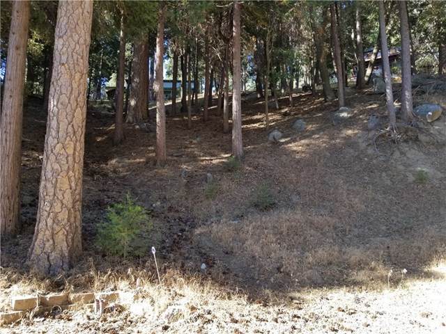 0 Canyon View - Photo 1