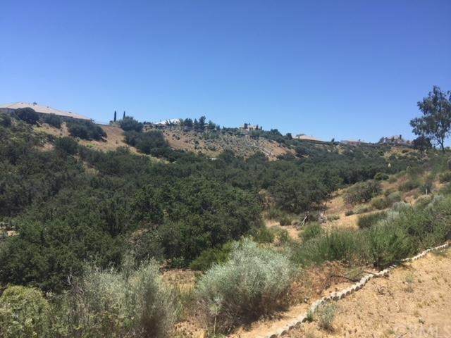 0 Desert Gold - Photo 1