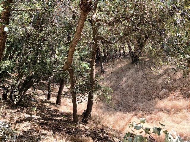 0 Hillside Spur - Photo 1