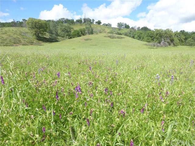 0 Vineyard Canyon - Photo 1