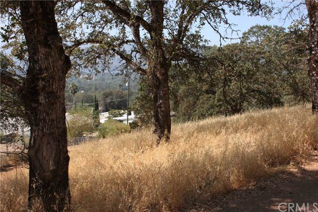 15747 Woods - Photo 1