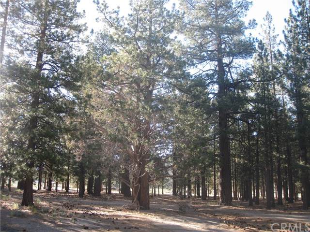 2818 Erwin Ranch - Photo 1