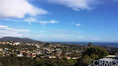 1205 Via La Mesa - Photo 1