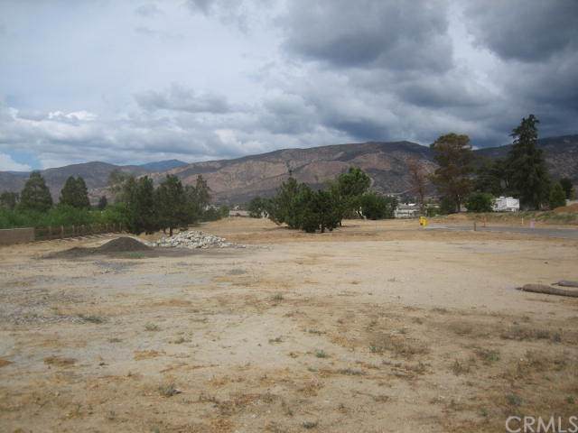 35884 Oak Glen - Photo 1