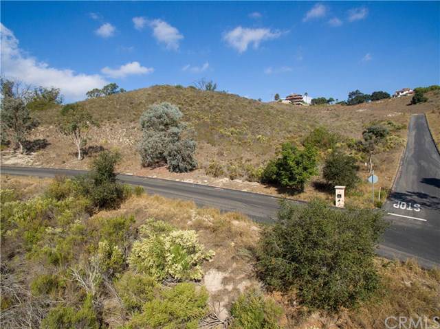 1190 Montecito Ridge - Photo 1