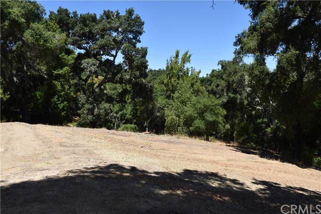 13300 Santa Ana - Photo 1