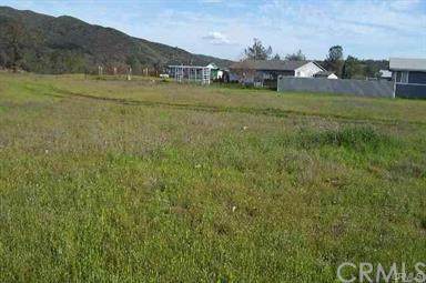 17701 Holly - Photo 1