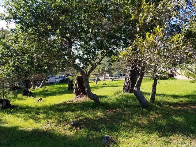 877 Ardath - Photo 1