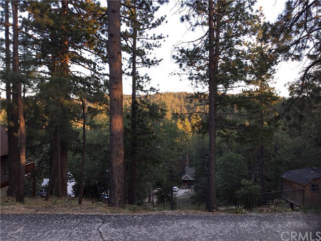0 Cougar - Photo 1