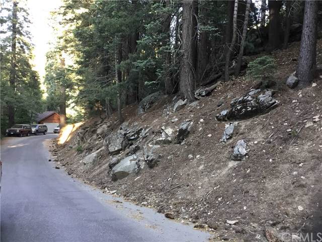 0 Forest - Photo 1
