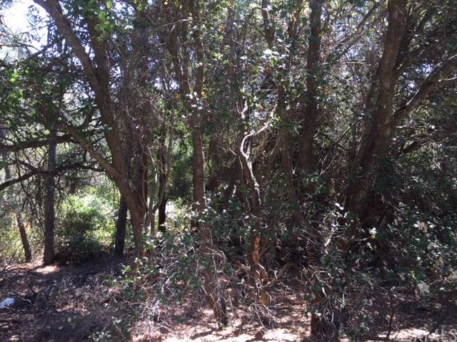 12409 Lakeview - Photo 1