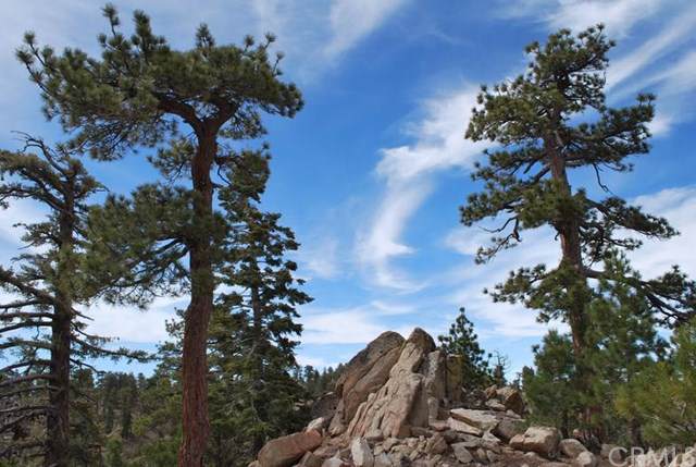 0 Vac/Big Pines Pav - Photo 1
