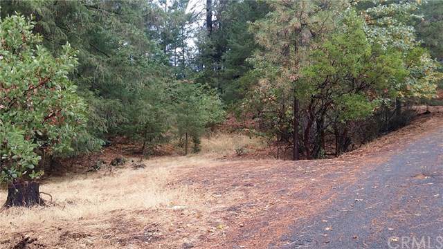 16229 Ponderosa - Photo 1