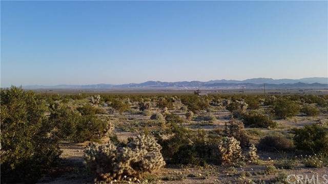 0 Two Mile - Photo 1