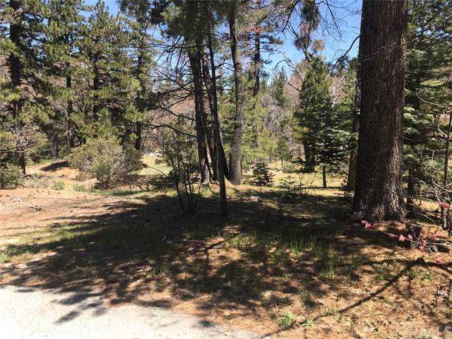 0 Pine Manor - Photo 1