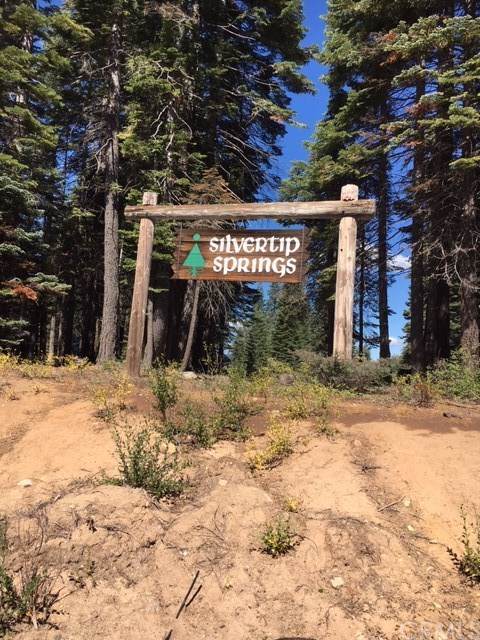 225 Silvertip Springs - Photo 1