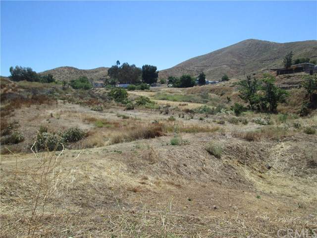 33 Coyote - Photo 1