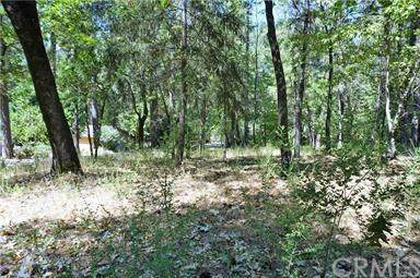 829 Wagstaff - Photo 1