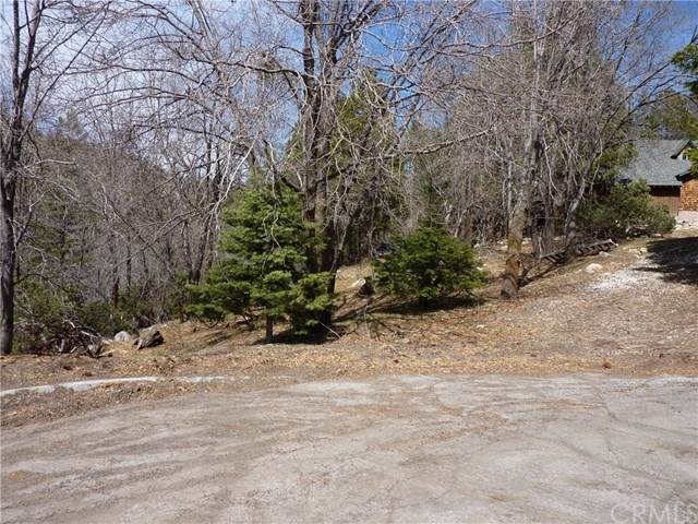 0 Tripp - Photo 1