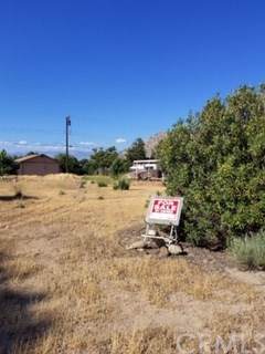 2601 Webb - Photo 1