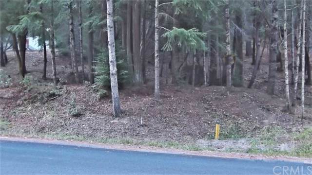 25049 Brooktrails - Photo 1