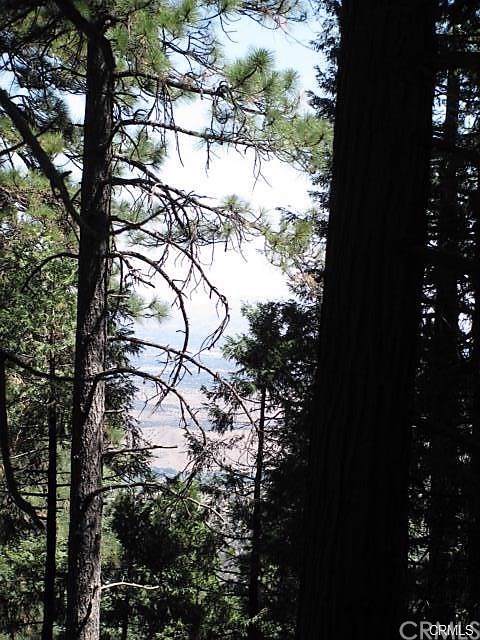 0 Cedar Pines - Photo 1