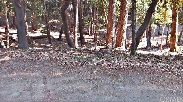26931 Bear - Photo 1