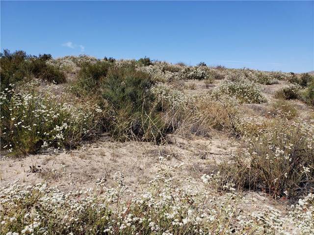0 Spring Valley - Photo 1