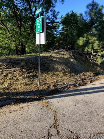 0 Rock Ridge Way Apn#0345-125-16-0000 - Photo 1