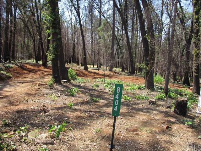 8404 Montna - Photo 1