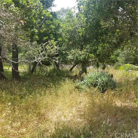 1685 Dreydon - Photo 1