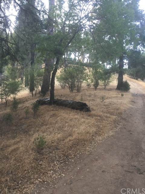0 Burnt Mill Canyon Road Area - Photo 1