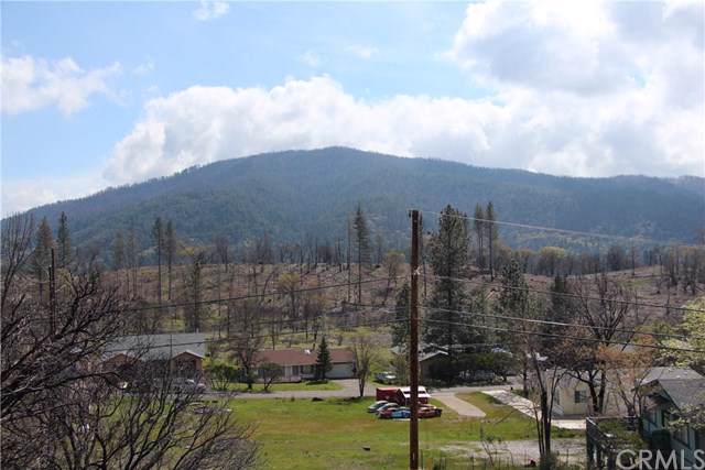 9392 Hoberg - Photo 1